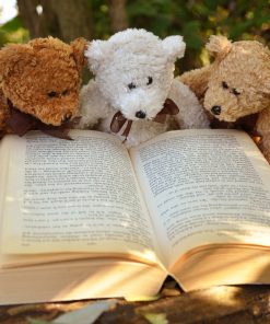 Fiction