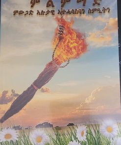 ምውጋድ ኣሉታዊ ኣተሓሳስባን ስምዒትን